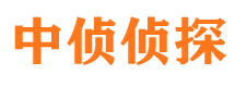 东城出轨调查